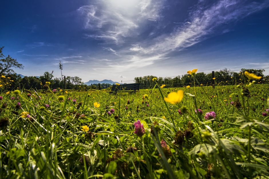 Kamperen in Allgau
