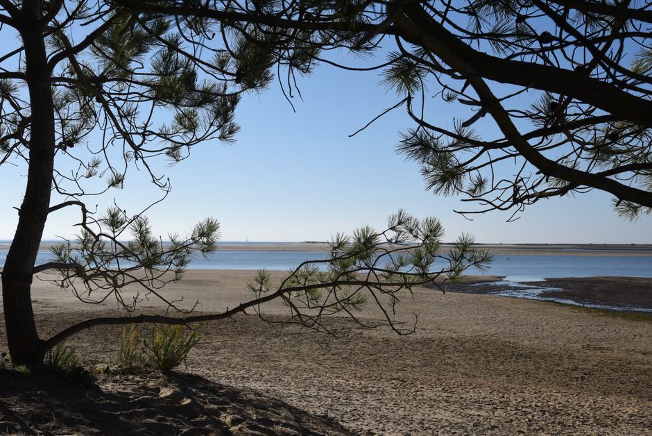 Kamperen in Atlantische kust (Gironde & Landes)