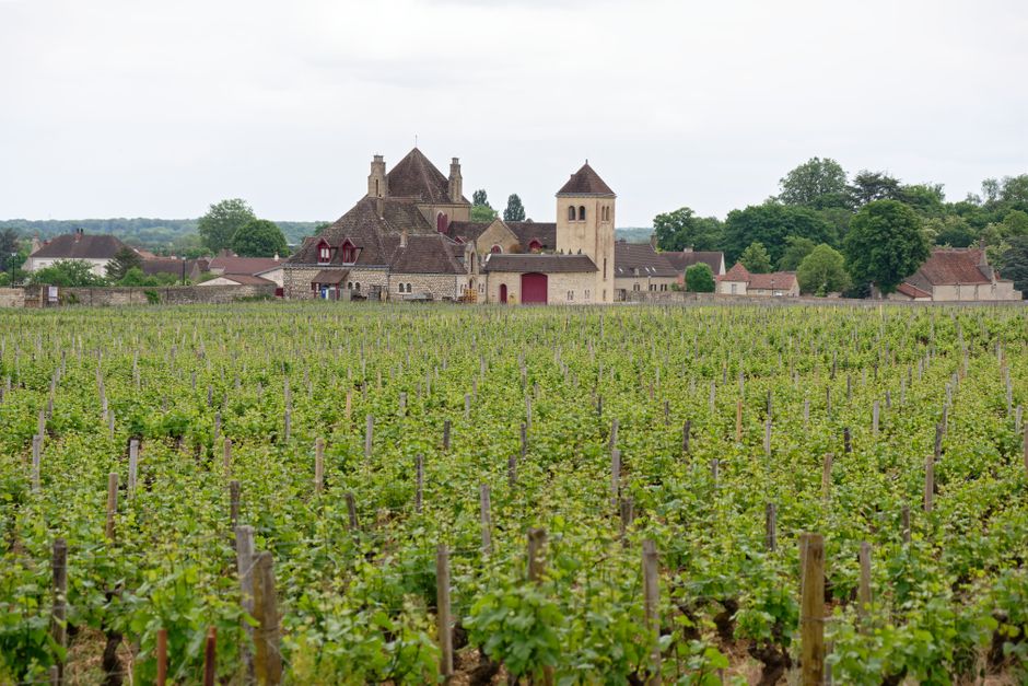 Kamperen in Bourgogne
