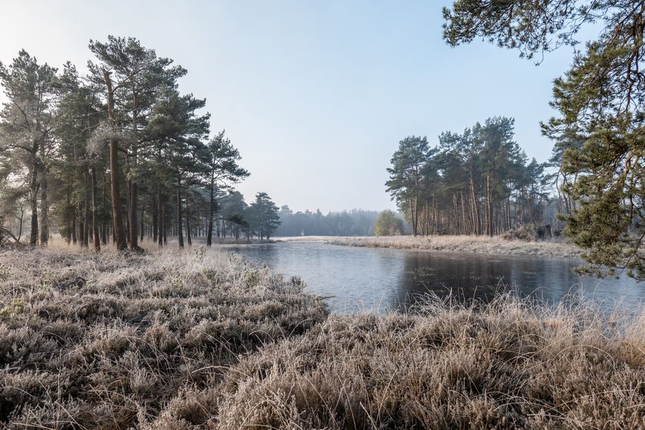 Kamperen in Drentse Hondsrug