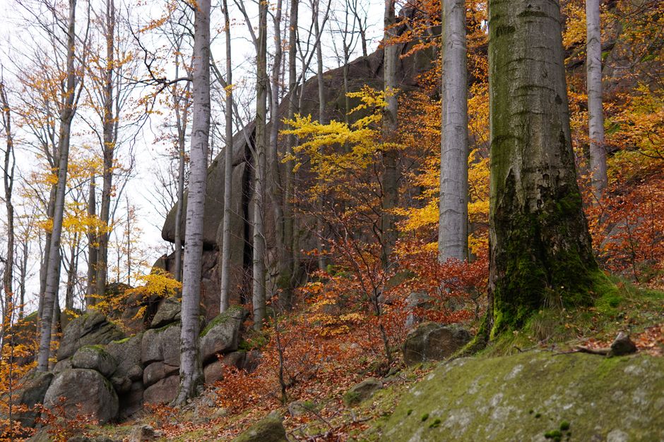 Kamperen in Kłodzko-vallei
