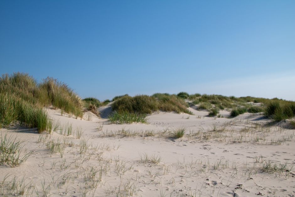 Kamperen in Terschelling