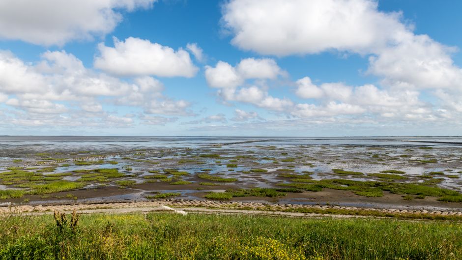 Kamperen in Waddenzee (Vadehavet)