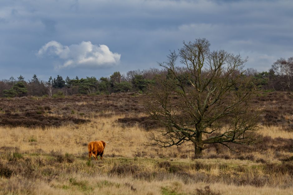 Limburgs Heuvelland & de Voerstreek