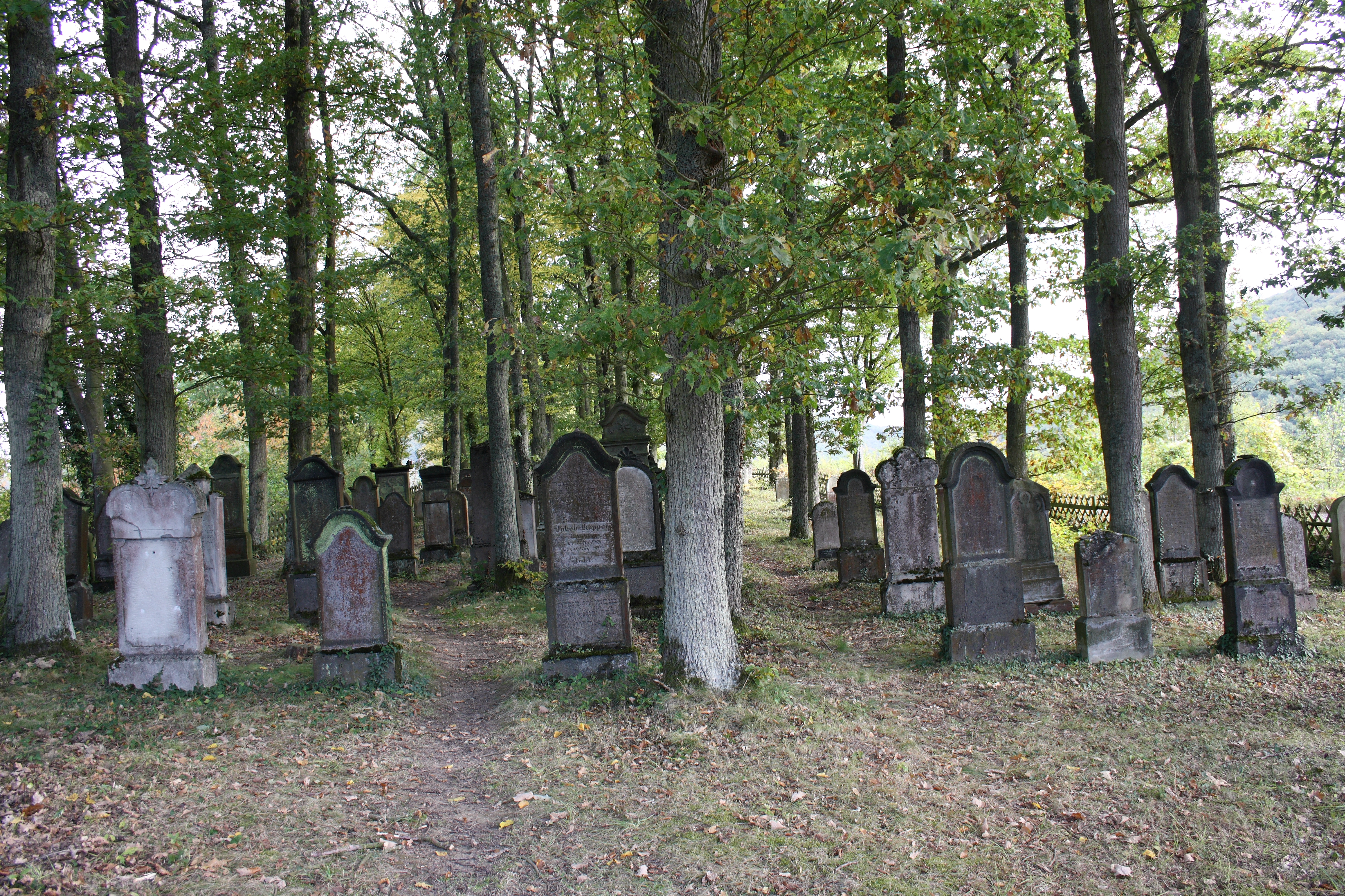Beilstein