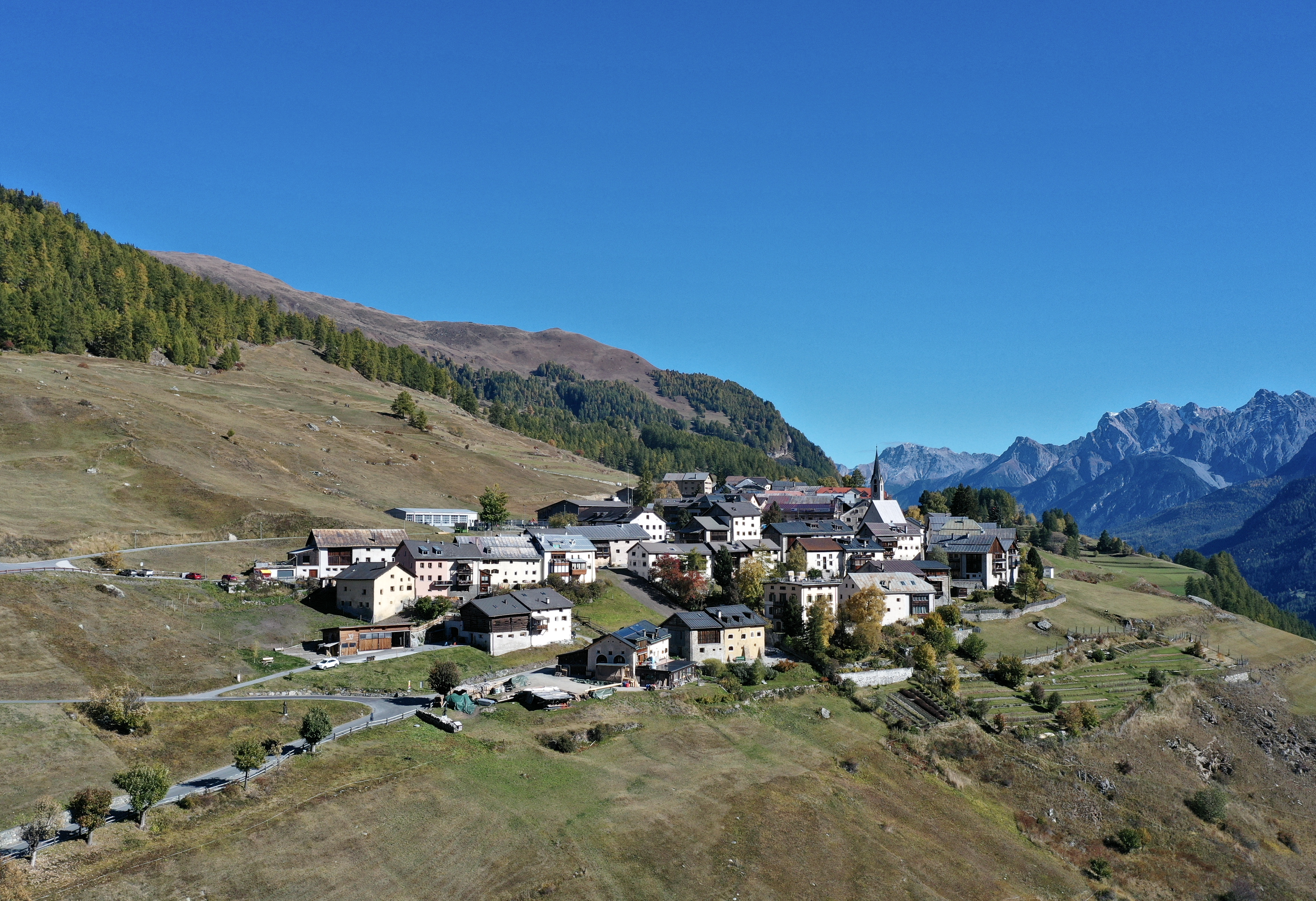 Guarda