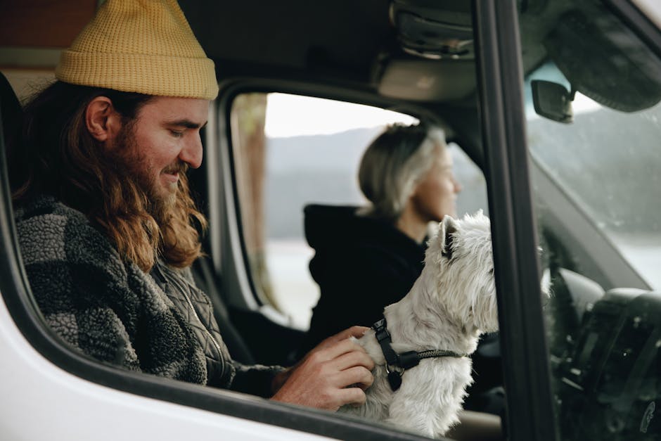 Met je hond of kat in de camper: regels, veiligheid en handige tips