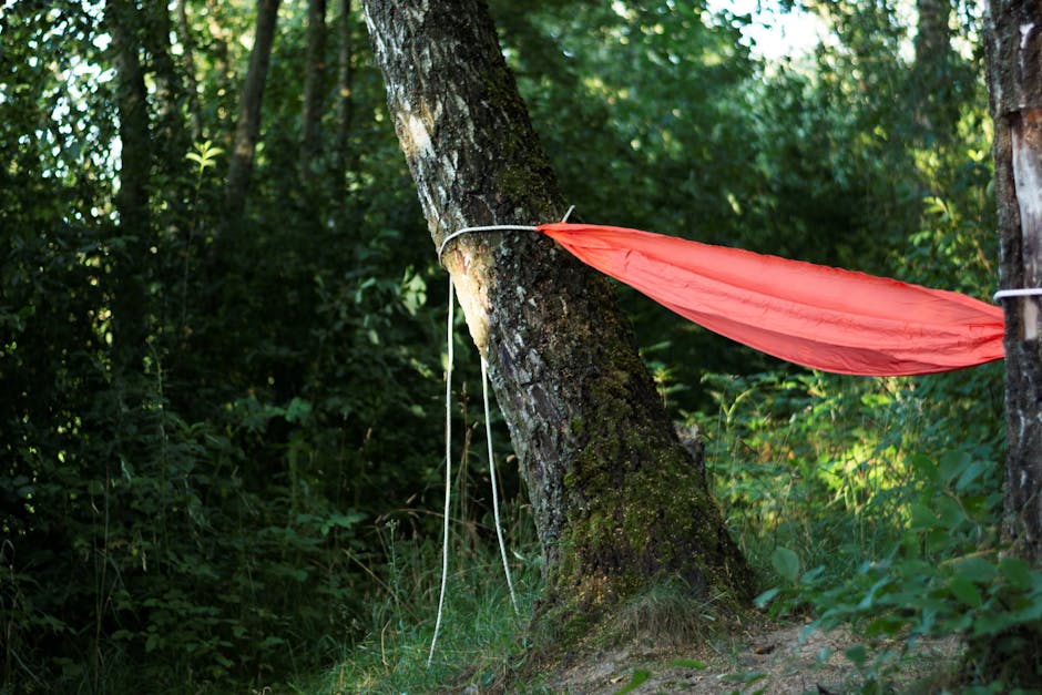 Hangmat op de camping: veilig ophangen en de juiste bevestiging kiezen