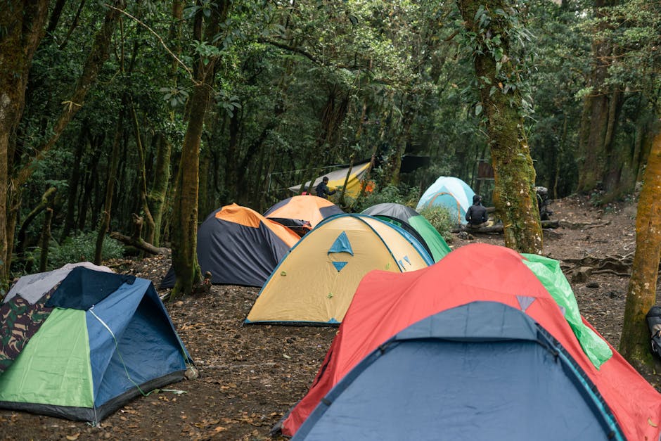 De juiste kampeerplek kiezen voor je tent: 7 aandachtspunten