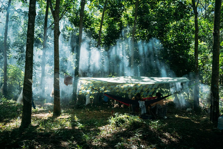 Tent en hangmat combineren: tarp-setup voor hangmatkampeerders