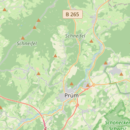 Locatie van Wohnmobilstellplatz Prüm