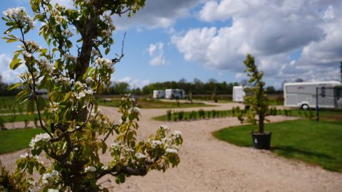 De Bloesem — U bent van harte welkom op onze camperplaats.