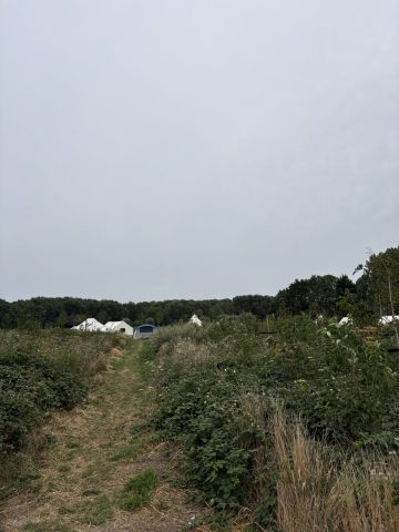 Plek bij Camping de Achtertuin
