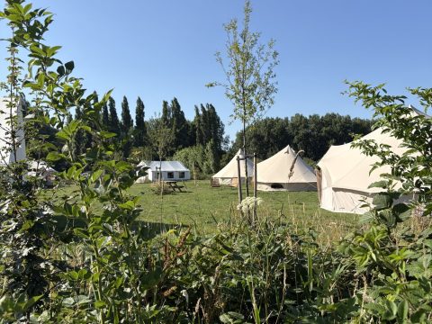 Plek bij Camping de Achtertuin