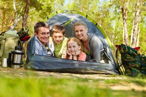 Plek bij Camping Amsterdam Gardens