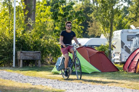 Plek bij Camping Amsterdam Gardens