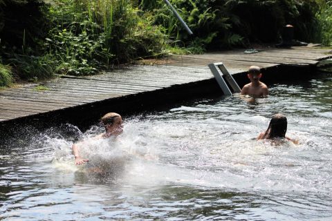 Plek bij Camping De Stal — Viswater met steiger