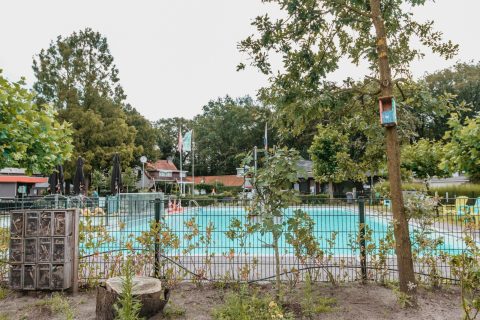 Plek bij Camping Liesbos — Zwembad