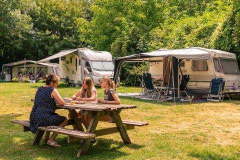 Plek bij Natuurcamping de Kemphaan