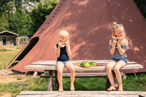 Plek bij Natuurcamping de Kemphaan