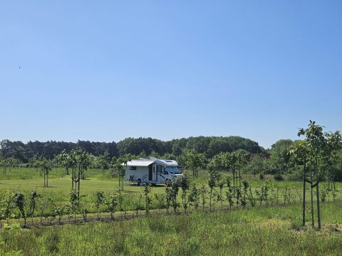De Weitens