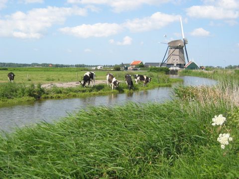 Plek bij Camping De Boekel
