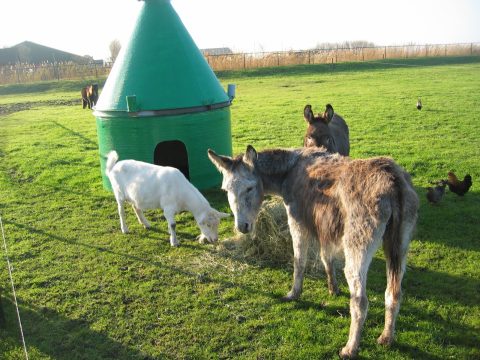 Plek bij Camping De Boekel