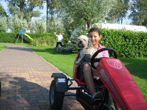 Plek bij Camping De Boekel