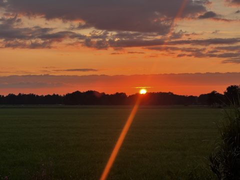 Plek bij Camping Op1