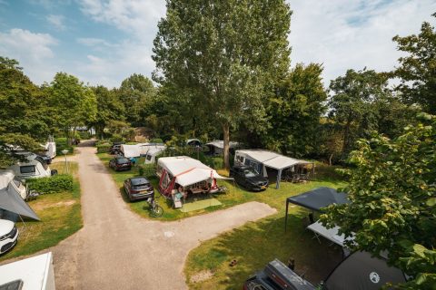 Plek bij Vakantiepark Delftse Hout — kampeerveld