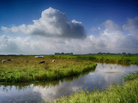 Plek bij it Dreamlân — Adembenemende uitzichten